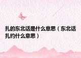 扎的東北話是什么意思（東北話扎約什么意思）