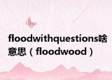 floodwithquestions啥意思（floodwood）