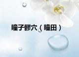 瞳子髎穴（瞳田）