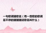 一句歌詞猜歌名（有一首歌的歌詞是不停的猜猜猜這歌名叫什么）