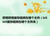 嗶哩嗶哩緩存視頻在哪個文件（bilibili緩存視頻在哪個文件夾）