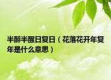 半醉半醒日復日（花落花開年復年是什么意思）