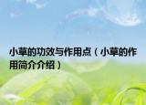 小草的功效與作用點(diǎn)（小草的作用簡(jiǎn)介介紹）