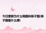 今日更新為什么韓國叫棒子國(棒子國是什么梗)
