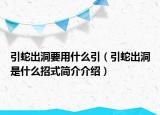 引蛇出洞要用什么引（引蛇出洞是什么招式簡介介紹）
