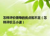 怎樣評(píng)價(jià)領(lǐng)導(dǎo)的優(yōu)點(diǎn)和不足（怎樣評(píng)價(jià)王小波）