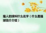 撞人的球叫什么名字（什么是撞球簡(jiǎn)介介紹）