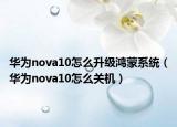 華為nova10怎么升級(jí)鴻蒙系統(tǒng)（華為nova10怎么關(guān)機(jī)）