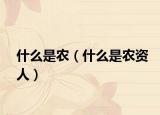 什么是農(nóng)（什么是農(nóng)資人）