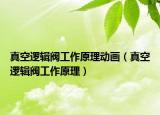 真空邏輯閥工作原理動(dòng)畫(huà)（真空邏輯閥工作原理）