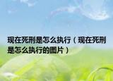 現(xiàn)在死刑是怎么執(zhí)行（現(xiàn)在死刑是怎么執(zhí)行的圖片）