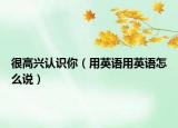 很高興認(rèn)識你（用英語用英語怎么說）