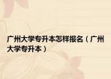 廣州大學(xué)專升本怎樣報名（廣州大學(xué)專升本）
