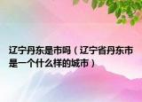 遼寧丹東是市嗎（遼寧省丹東市是一個什么樣的城市）