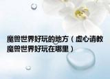 魔獸世界好玩的地方（虛心請(qǐng)教魔獸世界好玩在哪里）