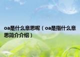 oa是什么意思呢（oa是指什么意思簡介介紹）