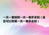 一夫一妻制和一夫一妻多妾制（是否可以恢復(fù)一夫一妻多妾制）