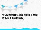 今日更新為什么螞蟻搬家要下雨(螞蟻下雨天搬家的原因)