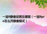 一加9靜音設(shè)置在哪里（一加9pro怎么開靜音模式）