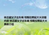林志穎父子出車禍 特斯拉燃起大火詳細內(nèi)容 林志穎父子出車禍 特斯拉燃起大火具體介紹