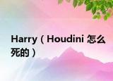 Harry（Houdini 怎么死的）