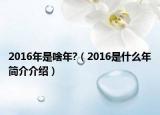 2016年是啥年?（2016是什么年簡介介紹）