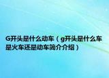 G開(kāi)頭是什么動(dòng)車(chē)（g開(kāi)頭是什么車(chē)是火車(chē)還是動(dòng)車(chē)簡(jiǎn)介介紹）