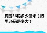 胸圍36碼多少厘米（胸圍36碼是多大）