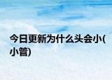 今日更新為什么頭會(huì)小(小管)