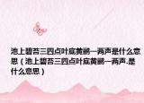 池上碧苔三四點葉底黃鸝一兩聲是什么意思（池上碧苔三四點葉底黃鸝一兩聲.是什么意思）
