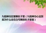 九陽神功在猿猴肚子里（九陽神功心法到底為什么會(huì)在白毛猴的肚子里面）