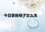 今日更新蟶子怎么洗