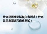什么是黑盒測試和白盒測試（什么是黑盒測試和白盒測試）