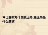 今日更新為什么眼壓高(眼壓高是什么感覺)