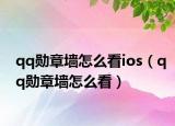 qq勛章墻怎么看ios（qq勛章墻怎么看）