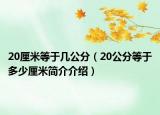 20厘米等于幾公分（20公分等于多少厘米簡(jiǎn)介介紹）