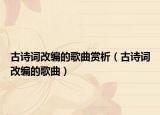 古詩詞改編的歌曲賞析（古詩詞改編的歌曲）