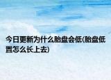 今日更新為什么胎盤會低(胎盤低置怎么長上去)