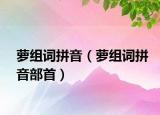 蘿組詞拼音（蘿組詞拼音部首）