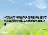 林志穎所駕特斯拉車頭燒成廢鐵詳細(xì)內(nèi)容 林志穎所駕特斯拉車頭燒成廢鐵具體介紹