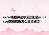 excel表格篩選怎么添加箭頭（excel表格篩選怎么添加選項）