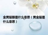 金黃耀眼是什么意思（黃金耀是什么意思）