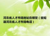 河北省人才市場地址在哪里（誰知道河北省人才市場電話）