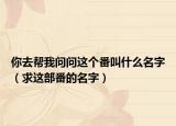 你去幫我問問這個番叫什么名字（求這部番的名字）