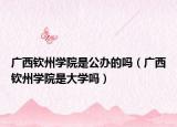 廣西欽州學院是公辦的嗎（廣西欽州學院是大學嗎）