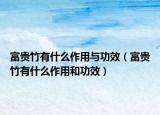 富貴竹有什么作用與功效（富貴竹有什么作用和功效）