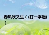 春風(fēng)吹又生（(打一字迷)）