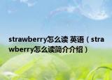 strawberry怎么讀 英語（strawberry怎么讀簡介介紹）