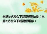 電腦b站怎么下載視頻到u盤（電腦b站怎么下載視頻緩存）