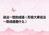 說法一致的成語（形容大家說法一致成語是什么）